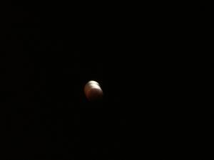 Red moon